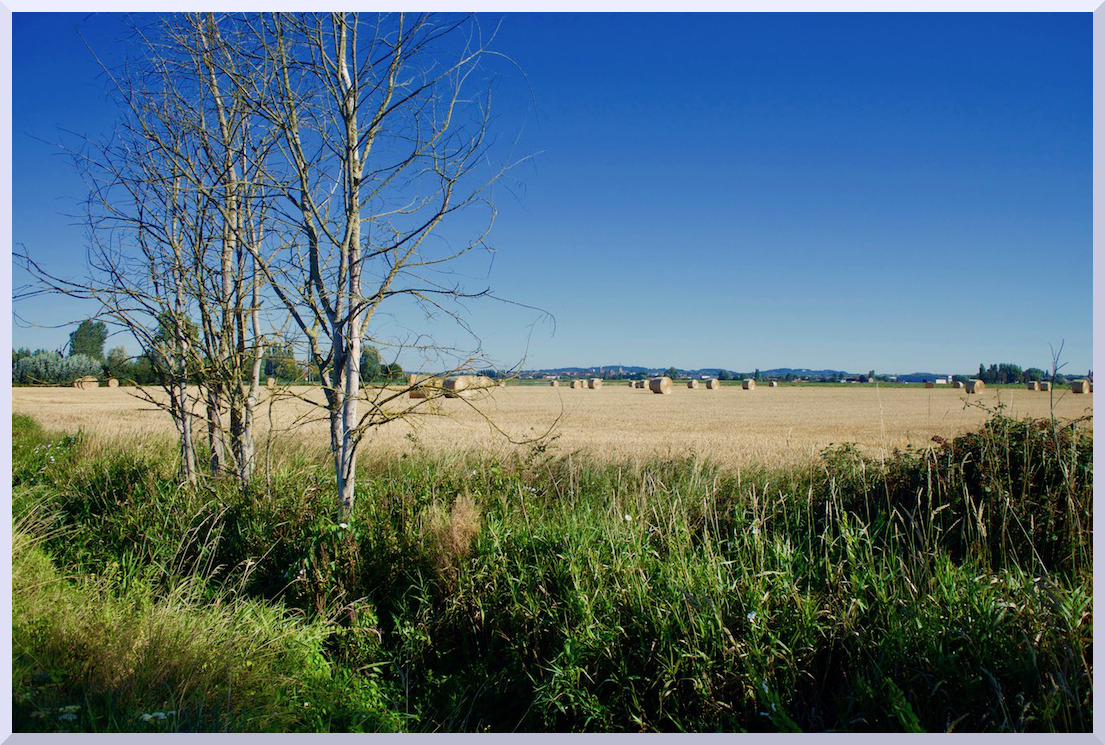 La campagne moissonnée