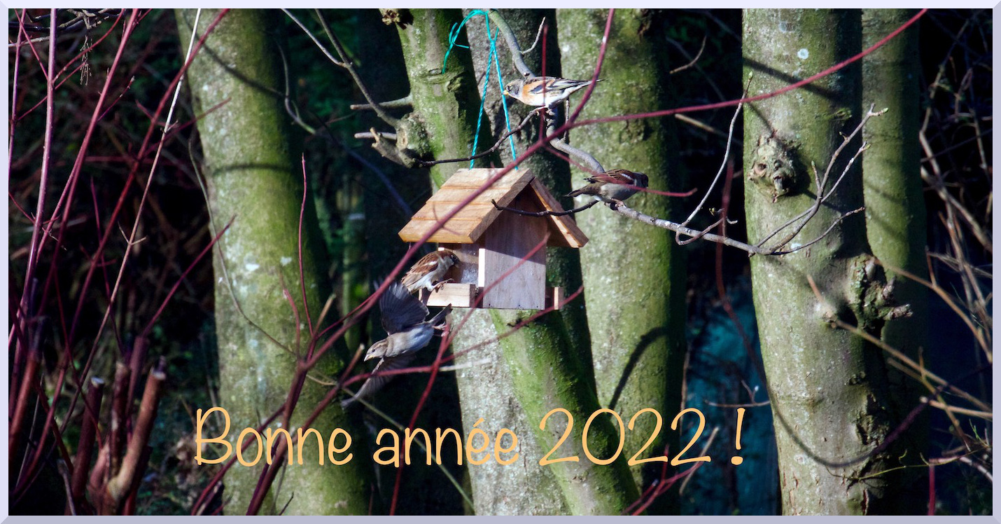2022