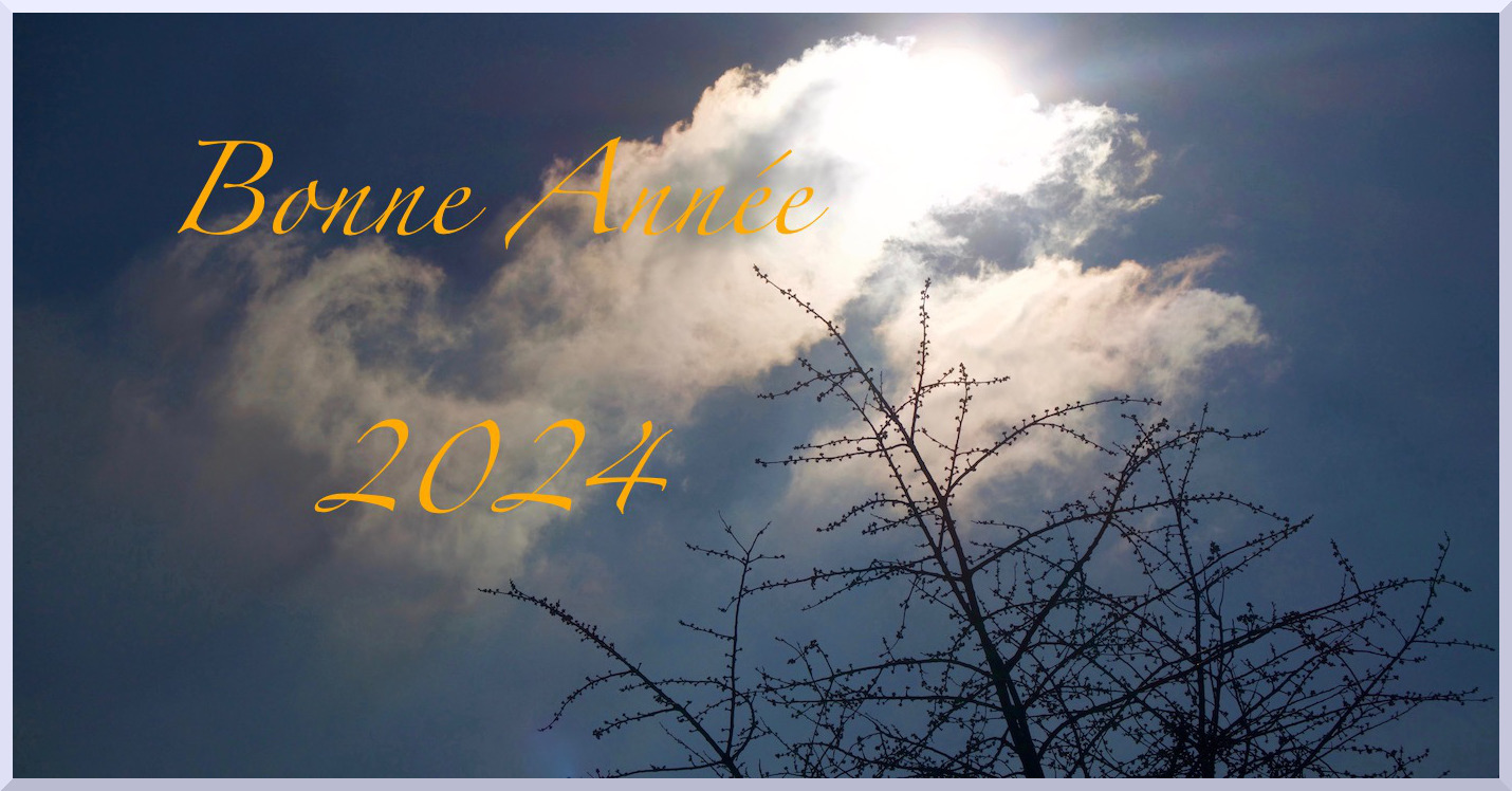 Bonne Année