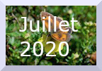 Archive juillet 2020