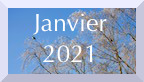 Archive janvier 2021