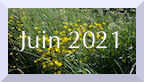 Archive juin 2021